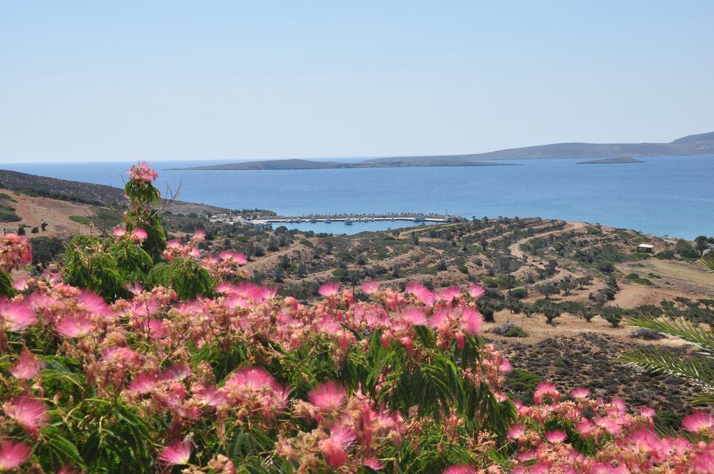 Castri Village Hotel Palekastro Extérieur photo