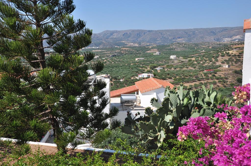 Castri Village Hotel Palekastro Extérieur photo